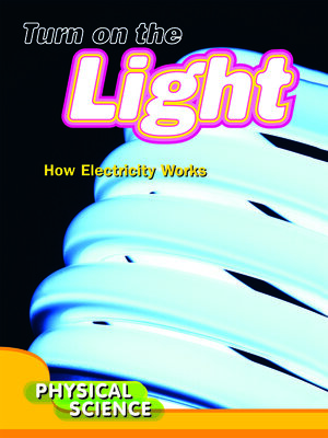 cover image of Turn on the Light